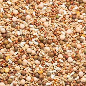 Purgrain Sparkling Clean Pigeon Feed Breeder/Conditioner 16% No Corn 50 Pounds