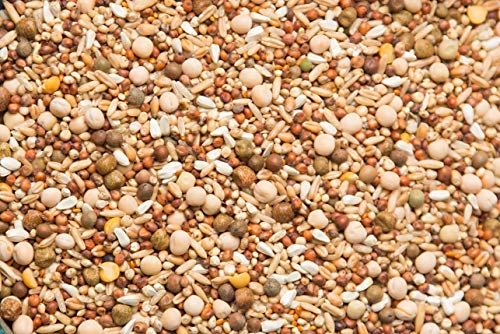 Purgrain Sparkling Clean Pigeon Feed Breeder/Conditioner 16% No Corn 50 Pounds