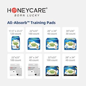 Honey Care All-Absorb, Small 17.5" x 23.5", 120 Count, Dog and Puppy Training Pads, Ultra Absorbent and Odor Eliminating, Leak-Proof 5-Layer Potty Training Pads with Quick-Dry Surface, Blue, A05