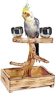 penn-plax bird-life natural wood tree perch for small and medium birds – includes 2 stainless steel cups and drop tray – medium