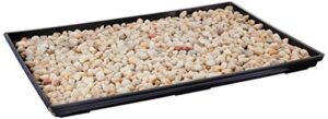 brussel's 13" humidity tray with decorative rocks