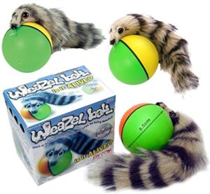 d.y.toy weazel ball - 3 pack - battery operated toy for kids, adults, dogs or cats all breeds