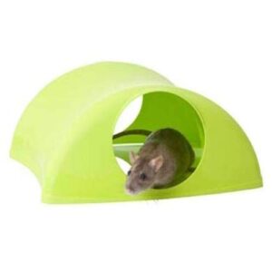 Lixit Igloos and Hideaways for Guinea Pigs, Rats, Mice, Hamsters, Gerbils and Other Small Animals (Large Hollow)