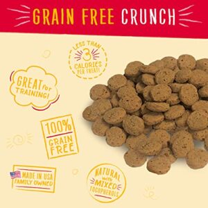 Charlee Bear Grain-Free Bear Crunch Chicken, Pumpkin & Apple Flavor - Net Wt 8 oz.