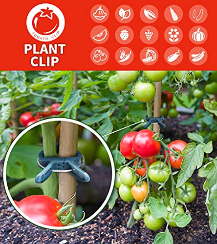 Sago Brothers 40 PCS Plant Clips Garden Clips for Tomato Cage, Tomatoes Clips Plant Support Clips for Bamboo Stakes, Climbing Plants, Vines, Gentle Plant & Flower Trellis Clips for Plant Stalks, Stems