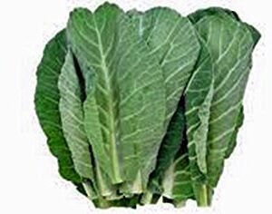 Collard Greens Seeds, Georgia Southern, Heirloom, 100 Seeds, Non GMO