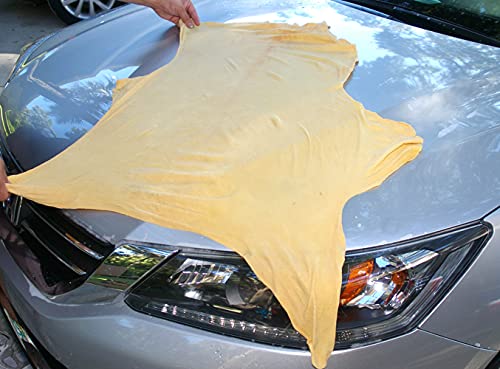 Natural Chamois XL Mega Size (6.5 sq ft.) by Ever New Automotive® Premium New Zealand Sheepskin for Car Boats and RV! Amazing Renewable Resource! …