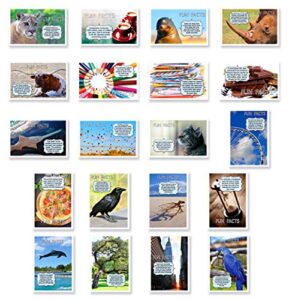 fun facts postcard set of 20. post card variety pack with trivia and fun fact theme postcards. made in usa.