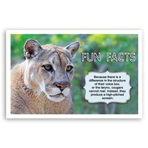 FUN FACTS postcard set of 20. Post card variety pack with trivia and fun fact theme postcards. Made in USA.