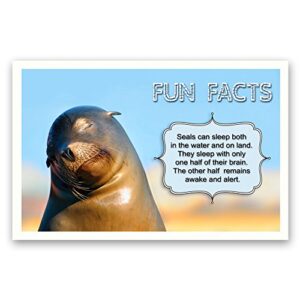 FUN FACTS postcard set of 20. Post card variety pack with trivia and fun fact theme postcards. Made in USA.