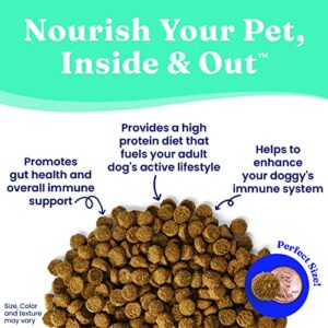 Solid Gold Grain Free Dry Dog Food for Adult & Senior Dogs - Made with Real Beef, Egg, and Pea - Barking at The Moon High Protein Dog Food for High Energy, Sensitive Stomach and Immune Support