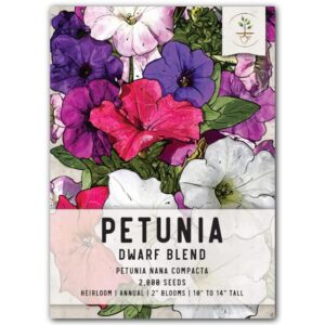 seed needs, dwarf mixed petunia seeds for planting (petunia nana compacta) single package of 2,000 seeds - heirloom & open pollinated