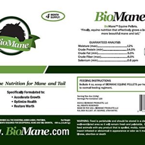 BioMane Hair Nutrition Supplement for Horses - 120 Day Supply w/Small Bucket