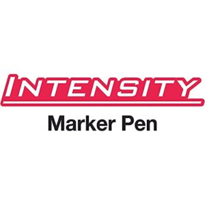 BIC Fpin11be Intensity Permanent Marker Pen, 5Mm, Fine, Blue, Dozen