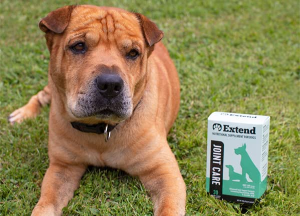 Extend - Joint Care for Dogs - 1 Month Supply - Glucosamine for Dogs with MSM & Ascorbic Acid - Pure Grade Ingredients.