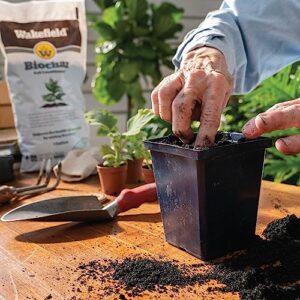 Wakefield BioChar – Premium Garden Soil Conditioner – OMRI Listed, Bio Char for Raised Gardens, Potting Mix, Lawns – 1 cu/ft (25 pounds)