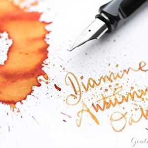 Diamine Fountain Pen Bottled Ink, 30ml - Autumn Oak