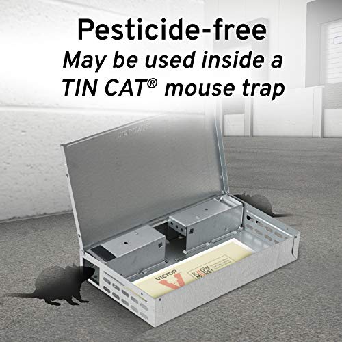 Victor M309 Mouse and Crawling Insect Sticky Glue Board Traps - 72 Pack