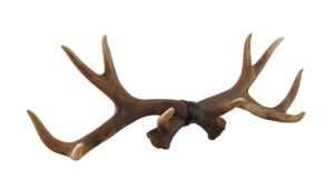 zeckos 17 inch lifelike deer antlers rack decorative hunting cabin natural wall hook