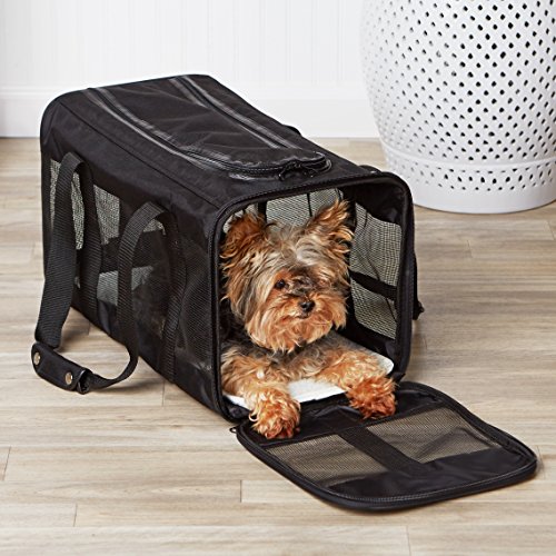 Amazon Basics Soft-Sided Mesh Pet Travel Carrier, Large, Black