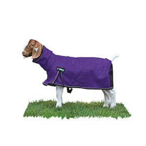 weaver leather livestock procool mesh goat blanket with reflective piping , purple , large
