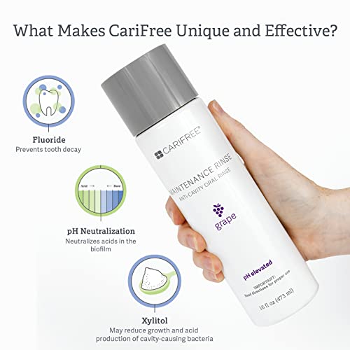 CariFree Maintenance Rinse (Grape): Fluoride Mouthwash | Dentist Recommended Anti-Cavity Oral Care | Xylitol | Neutralizes pH | Freshen Breath | Cavity Prevention | Alcohol Free