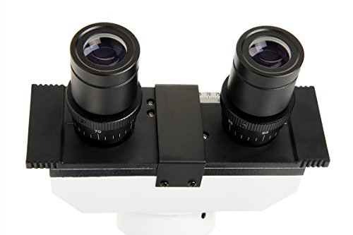 Celestron – Celestron Labs – Binocular Head Compound Microscope – 40-2000x Magnification – Adjustable Mechanical Stage – Includes 2 Eyepieces and 10 Prepared Slides