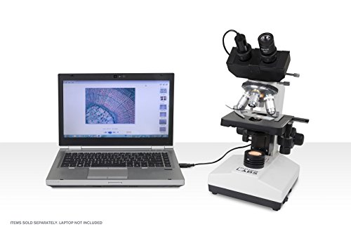 Celestron – Celestron Labs – Binocular Head Compound Microscope – 40-2000x Magnification – Adjustable Mechanical Stage – Includes 2 Eyepieces and 10 Prepared Slides