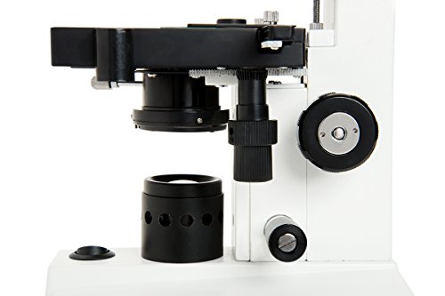 Celestron – Celestron Labs – Binocular Head Compound Microscope – 40-2000x Magnification – Adjustable Mechanical Stage – Includes 2 Eyepieces and 10 Prepared Slides