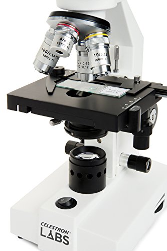 Celestron – Celestron Labs – Binocular Head Compound Microscope – 40-2000x Magnification – Adjustable Mechanical Stage – Includes 2 Eyepieces and 10 Prepared Slides