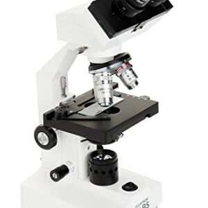 Celestron – Celestron Labs – Binocular Head Compound Microscope – 40-2000x Magnification – Adjustable Mechanical Stage – Includes 2 Eyepieces and 10 Prepared Slides