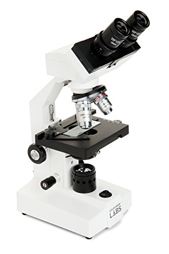 Celestron – Celestron Labs – Binocular Head Compound Microscope – 40-2000x Magnification – Adjustable Mechanical Stage – Includes 2 Eyepieces and 10 Prepared Slides