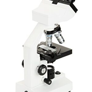 Celestron – Celestron Labs – Binocular Head Compound Microscope – 40-2000x Magnification – Adjustable Mechanical Stage – Includes 2 Eyepieces and 10 Prepared Slides