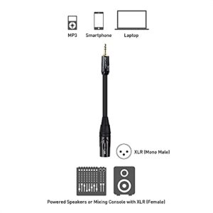 Cable Matters (1/8 Inch 3.5mm to XLR Cable 6 ft Male to Male (XLR to 3.5mm Cable, XLR to 1/8 Cable, 1/8 to XLR Cable)