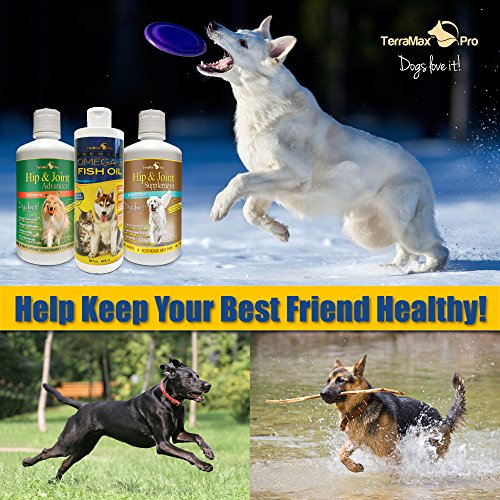 TerraMax Pro Liquid Omega-3 Fish Oil for Dogs and Cats, 16 Fl. Oz.