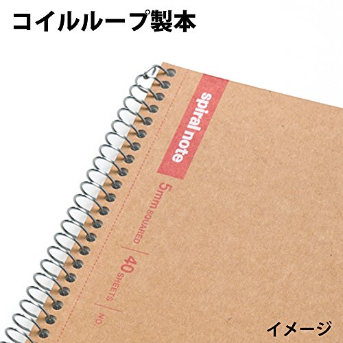 Maruman N246ES Ring Notebook, 0.2 inch (5 mm), Grid Ruled, Basic, B5, 80 Sheets, Set of 5