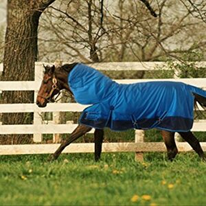 Turnout 1680D Horse Winter Waterproof with Neck Cover - Horse Blanket 002 - Size from 69" to 83" (78")