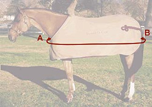 Turnout 1680D Horse Winter Waterproof with Neck Cover - Horse Blanket 003 - Size from 69" to 83" (78")