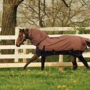 Turnout 1680D Horse Winter Waterproof with Neck Cover - Horse Blanket 003 - Size from 69" to 83" (78")