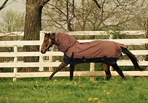 Turnout 1680D Horse Winter Waterproof with Neck Cover - Horse Blanket 003 - Size from 69" to 83" (78")