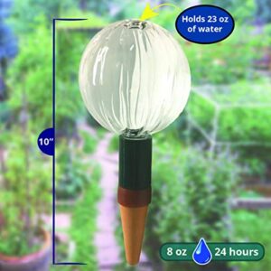 Blumat Glass Plant Self Watering Globes | Automatic Houseplant Drip Irrigation for Indoor Plants, Hanging Plants, Houseplants, Plant Garden Accessories | Vacation Plant Savers - Large Globe Small Adapter