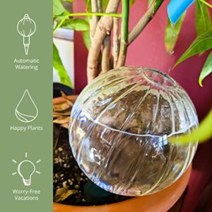 Blumat Glass Plant Self Watering Globes | Automatic Houseplant Drip Irrigation for Indoor Plants, Hanging Plants, Houseplants, Plant Garden Accessories | Vacation Plant Savers - Large Globe Small Adapter