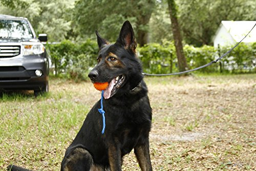 The Nero Ball Classic TM - K-9 Ball On a Rope Reward and Exercise Toy - Police K-9 - Schutzhund