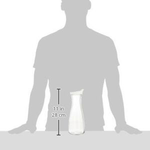 Grant Howard Beverage Glass Carafe and Decanter with White Screw Top, 1 L, Clear