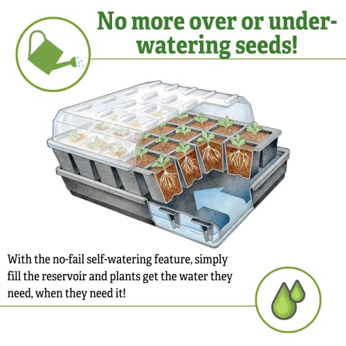 Gardener's Supply Company GrowEase Self Watering Seed Starting Kit, 24- Cell Seed, Holds 3 Qts of Seed Starting Mix - Capillary Mat, Cover and Water Reservoir Included, 100% Recycled Plastic