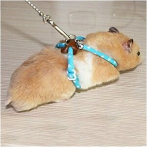 PetintheGarden Adjustable Harness Leash Hamster Rat Mouse Squirrel Sugar Glider Small Animal (Blue)