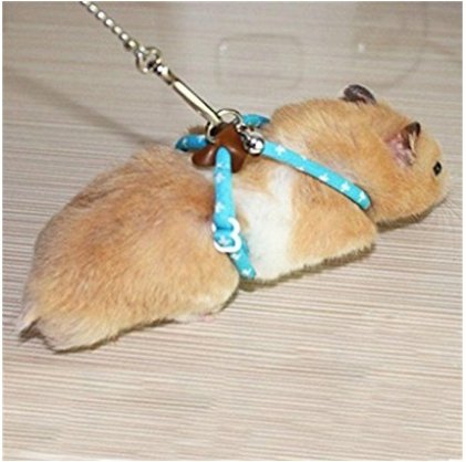 PetintheGarden Adjustable Harness Leash Hamster Rat Mouse Squirrel Sugar Glider Small Animal (Blue)