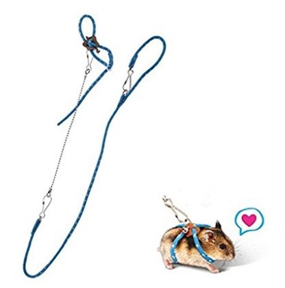 PetintheGarden Adjustable Harness Leash Hamster Rat Mouse Squirrel Sugar Glider Small Animal (Blue)