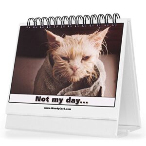 Moodycards Office Gift For Cat Lovers Make Everyone Laugh with These Adorable and Hilarious Cat memes - Let The Kittys Tell Everyone How You Feel! A Terrific Office Gift! 25 Different Moods