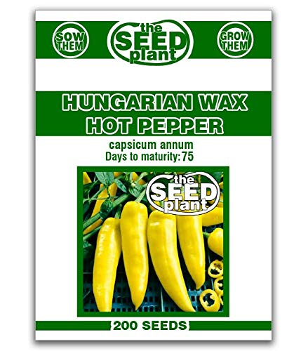 Hungarian Wax Hot Pepper Seeds - 200 Seeds Non-GMO